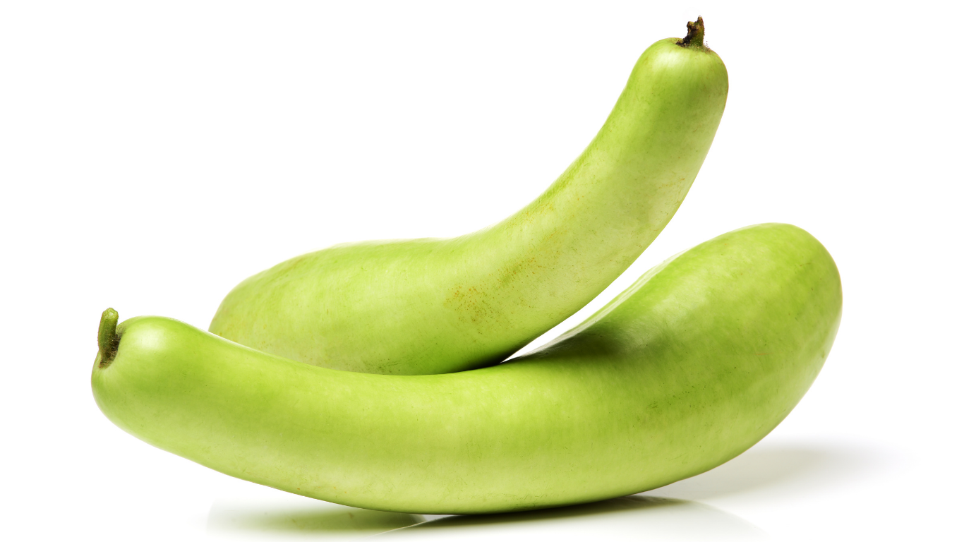 Bottle Gourd Export