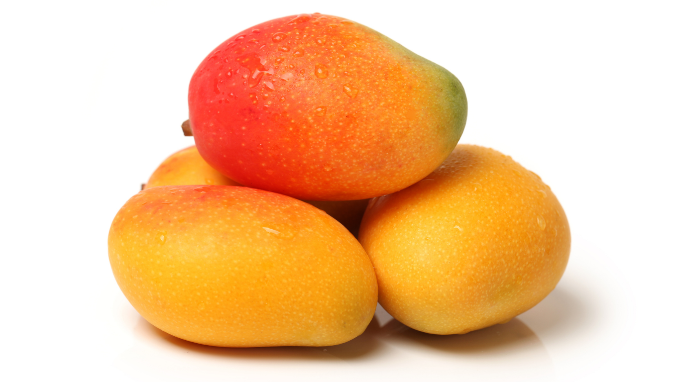 Mango Export