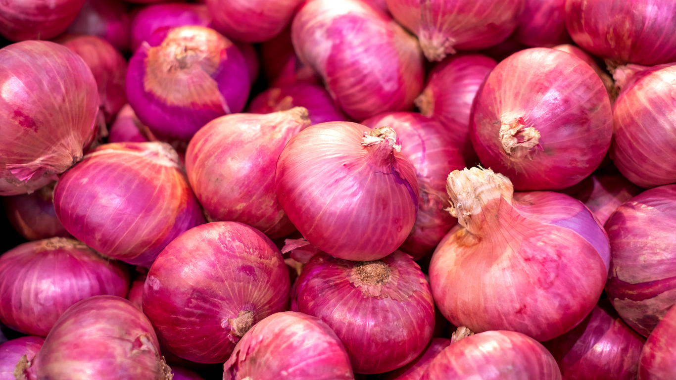 Fresh Onion Export Supplier India